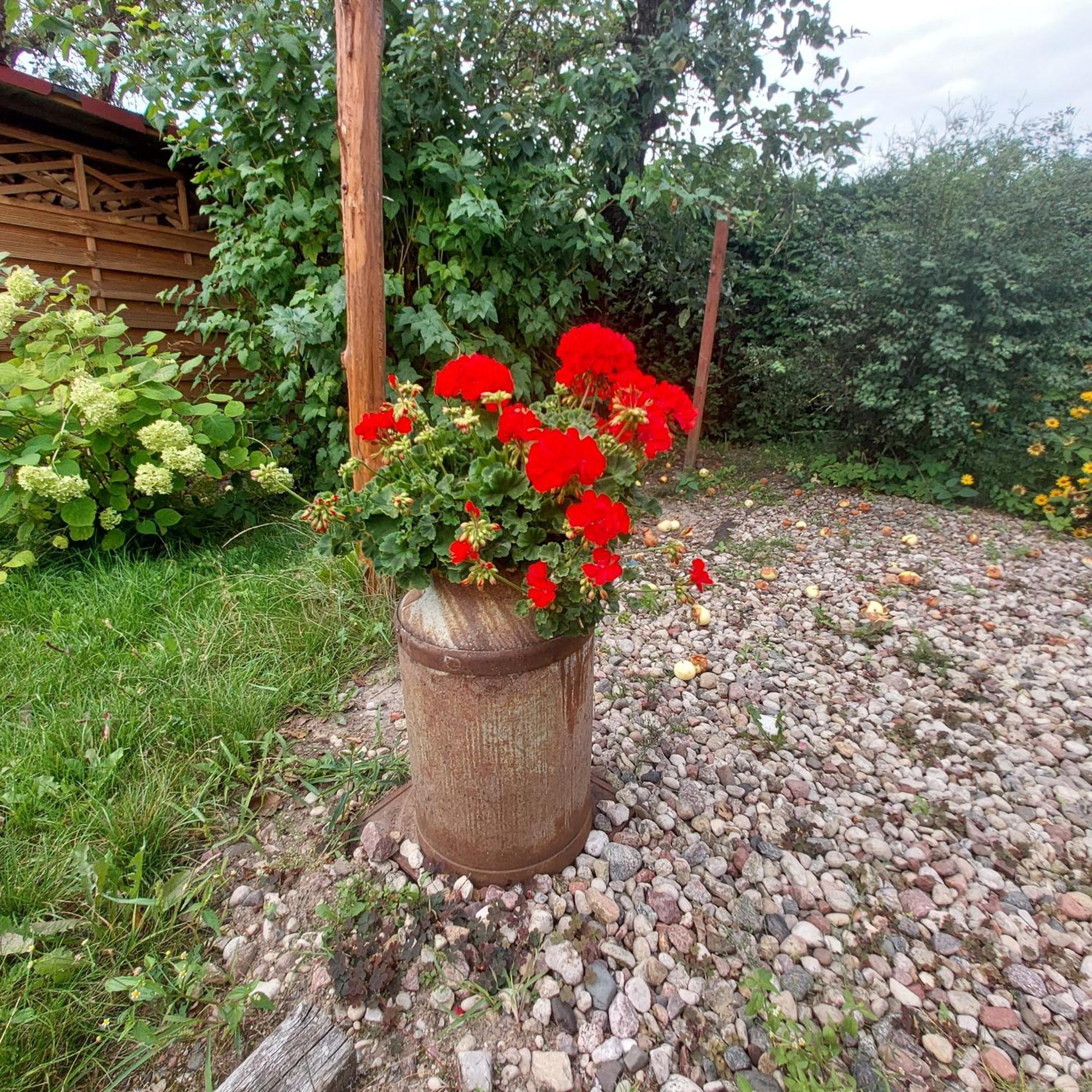 Mazury Home Giżycko Zewnętrze zdjęcie